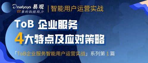 Tob企業服務的典型特點及應對策略
