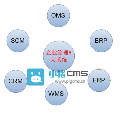 CRM、ERP、OMS、WMS、SCM、BRP 電商企業需知的6大管理系統